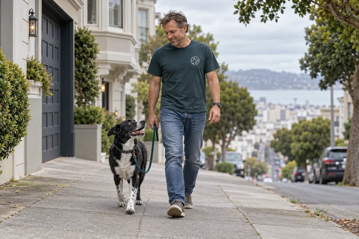 Illustrative scene of a trainer and an attentive mixed-breed dog practicing a loose-leash walk in San Francisco.