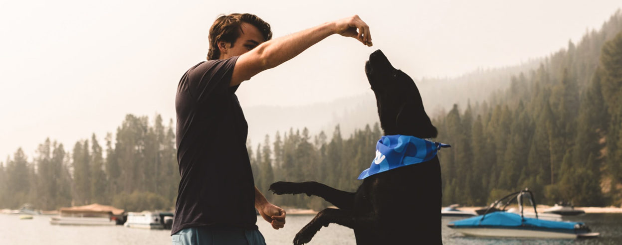 Man Standing By Lake Feeding Black Lab A Treat