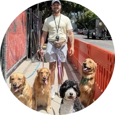 David Besseler, Koru K9 dog trainer serving Northern California