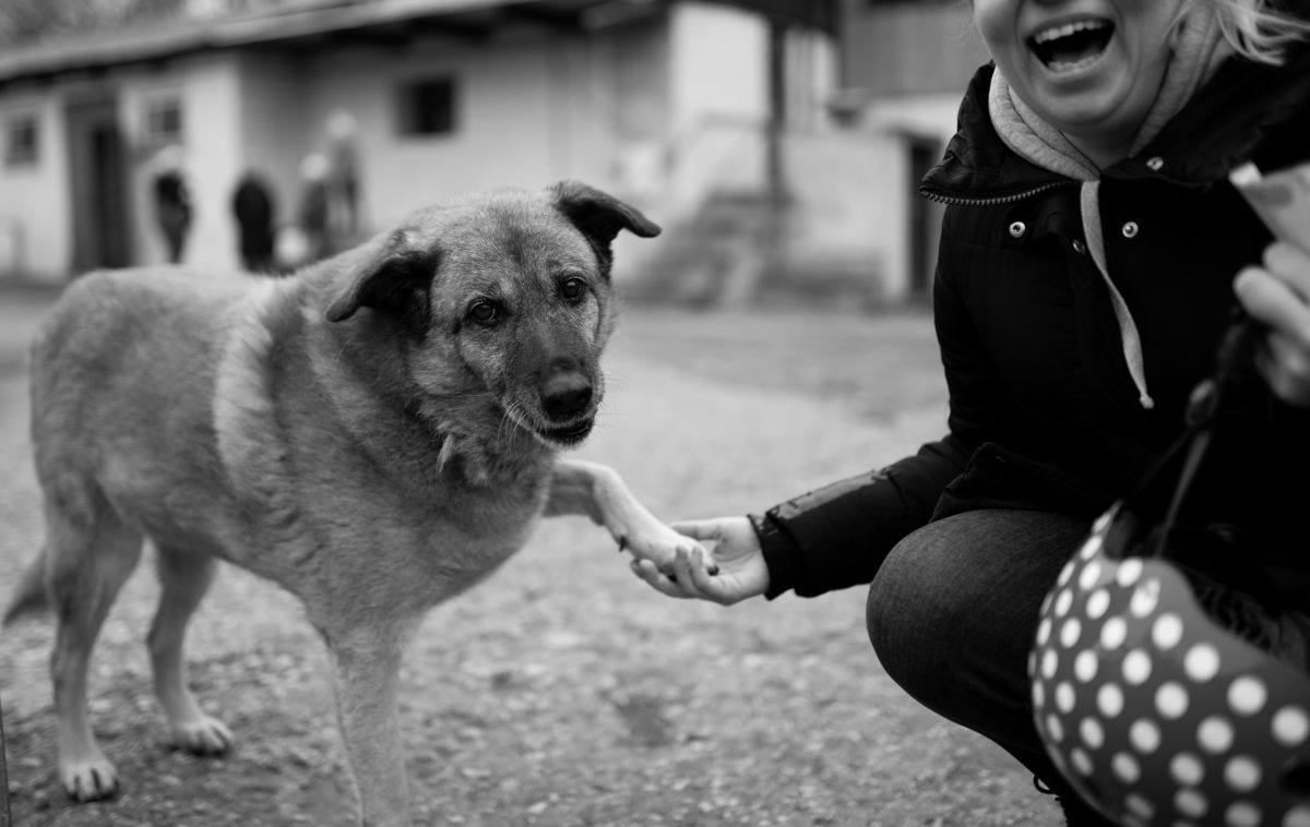 A Woman Holding a Dog's Paw in a Black and White Photo