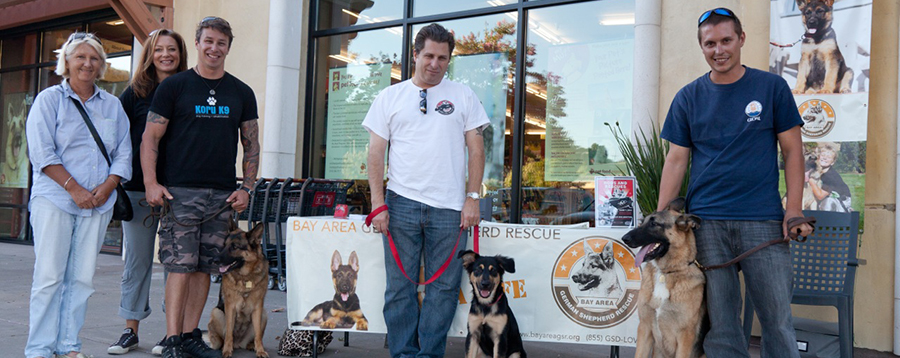 Bay area store shepherd rescue