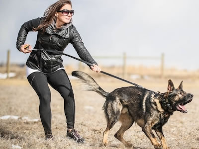 Woman Aggressively Pulling On Leash As German Shepherd Barks