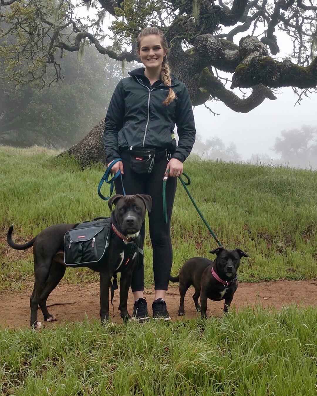 Woman Standing Next To Two Black Dogs On Leashes In Front of A Magnolia Tree In The Fog