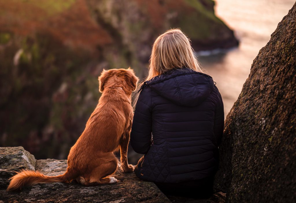 Back Of Blond Woman Sitting On A Rock Next To A Dog Overlooking The Ocean