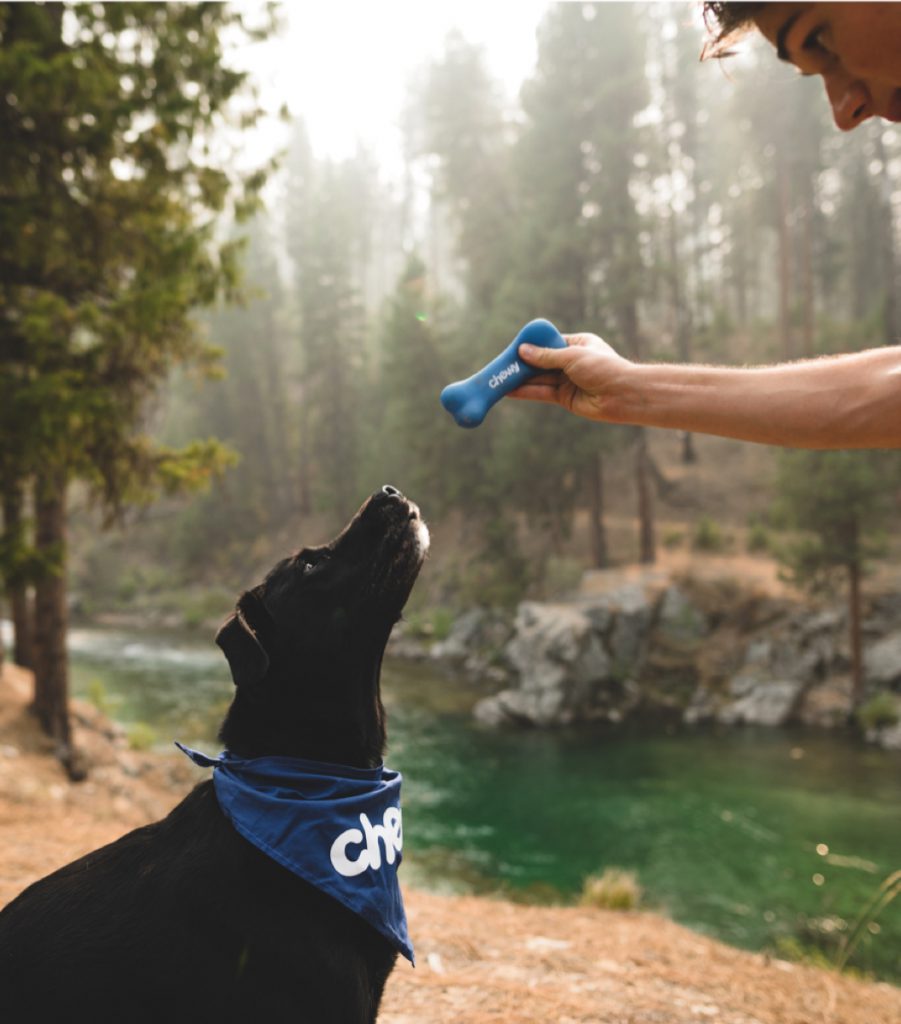 A Man Holding A Blue Toy Bone Over His Dogs Head