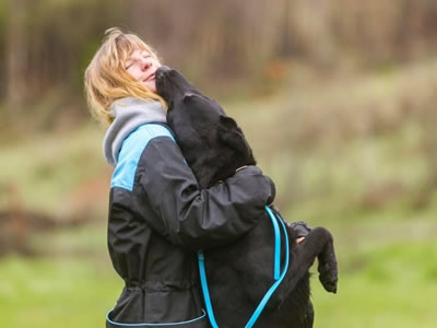 Black Lab Licking The Face of Blond Woman Wearing Blue And Black Coat