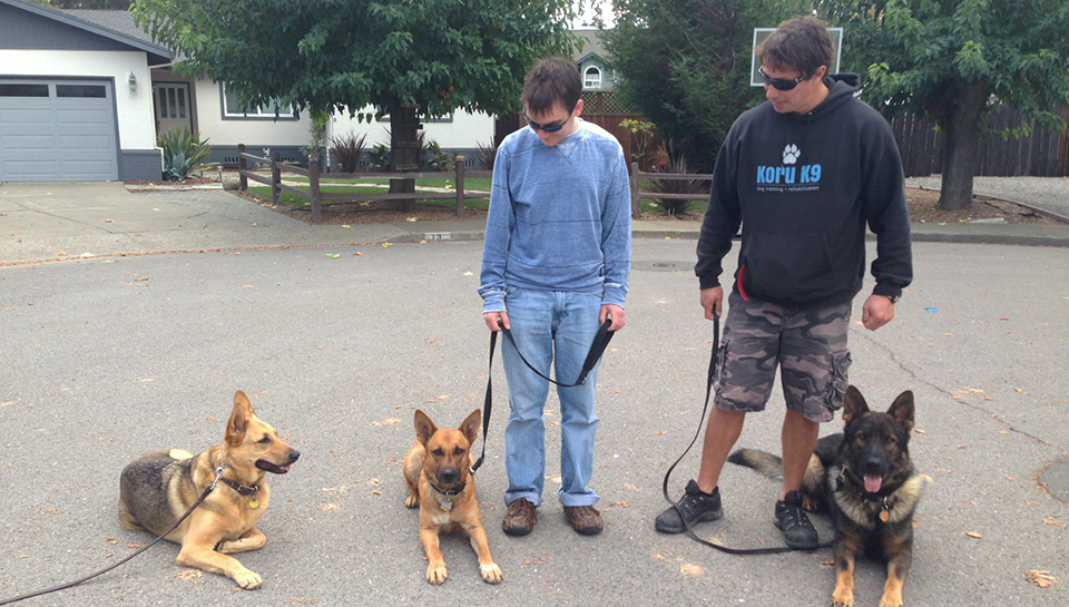 Two Men With Three Dogs Healing In The Street