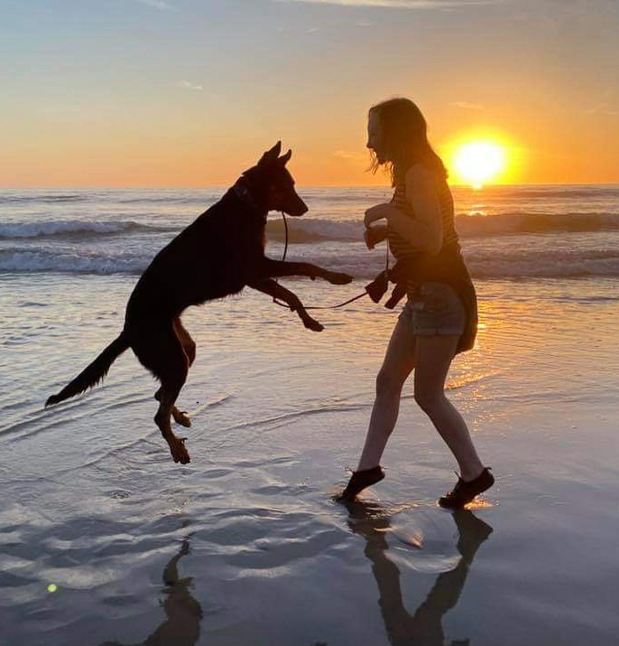 Woman And Jumping Dog Playing On Beach At Sunset