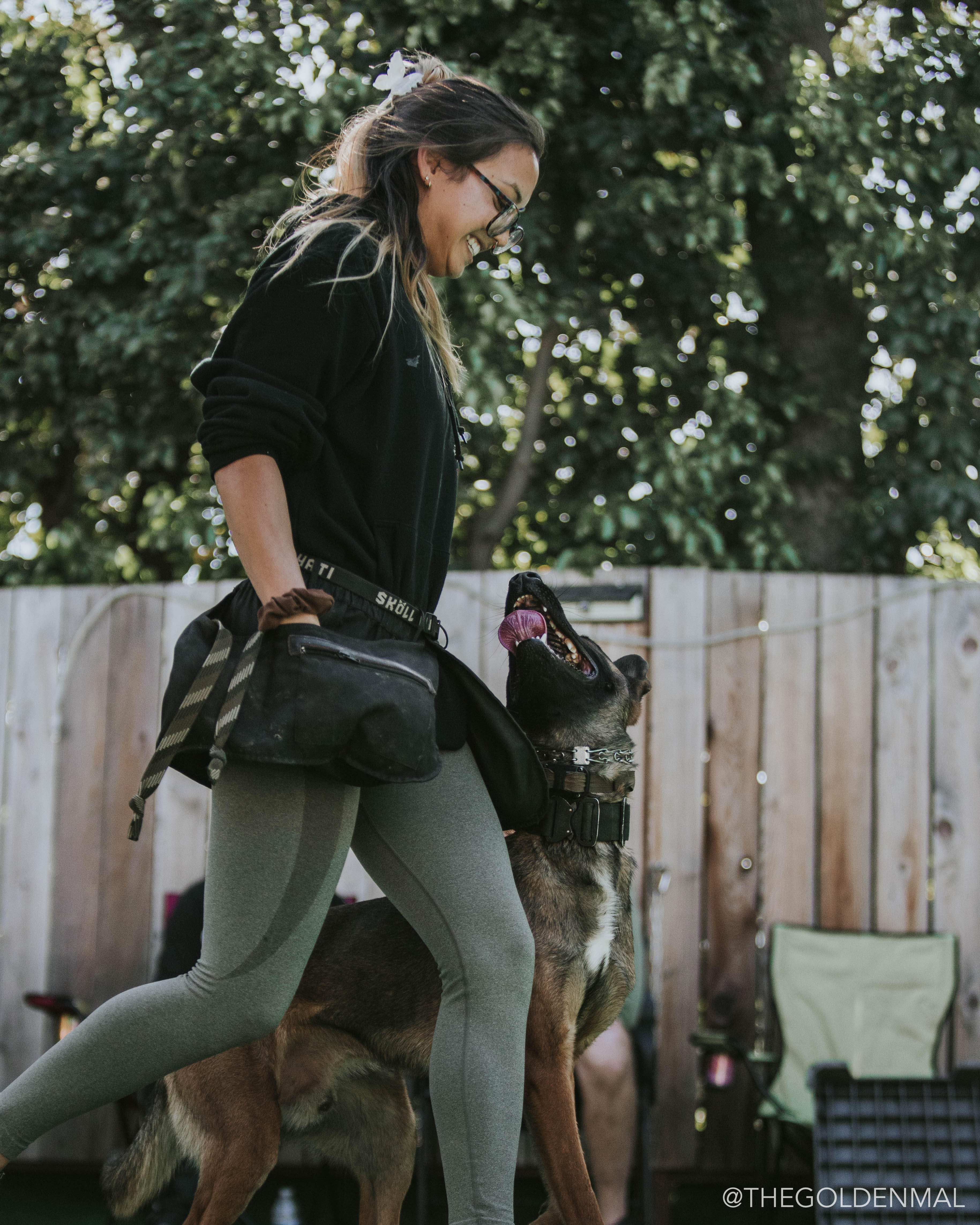 Woman Wearing Green Coat And Sunglasses Walking An Obstacle Course With Dog