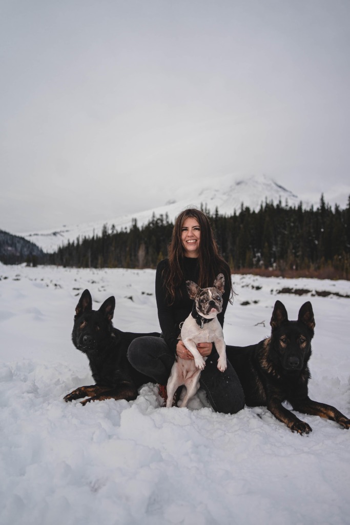 Woman Crouching In The Snowy Mountains Holding A French Boxer With A German Shepherd On Either Side