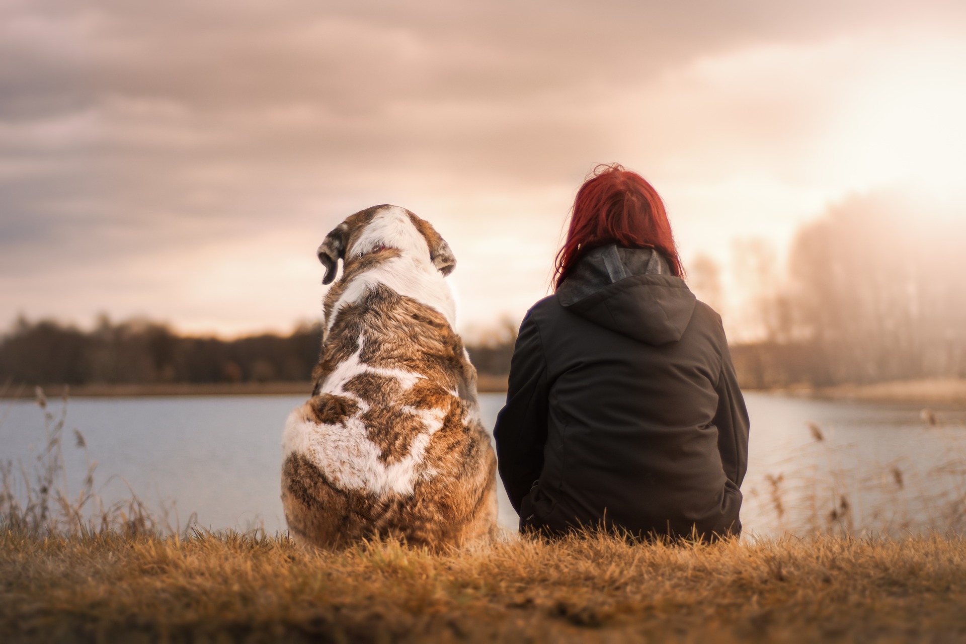 Redhead Woman And Brown Spotted Dog Sitting Overlooking Lake