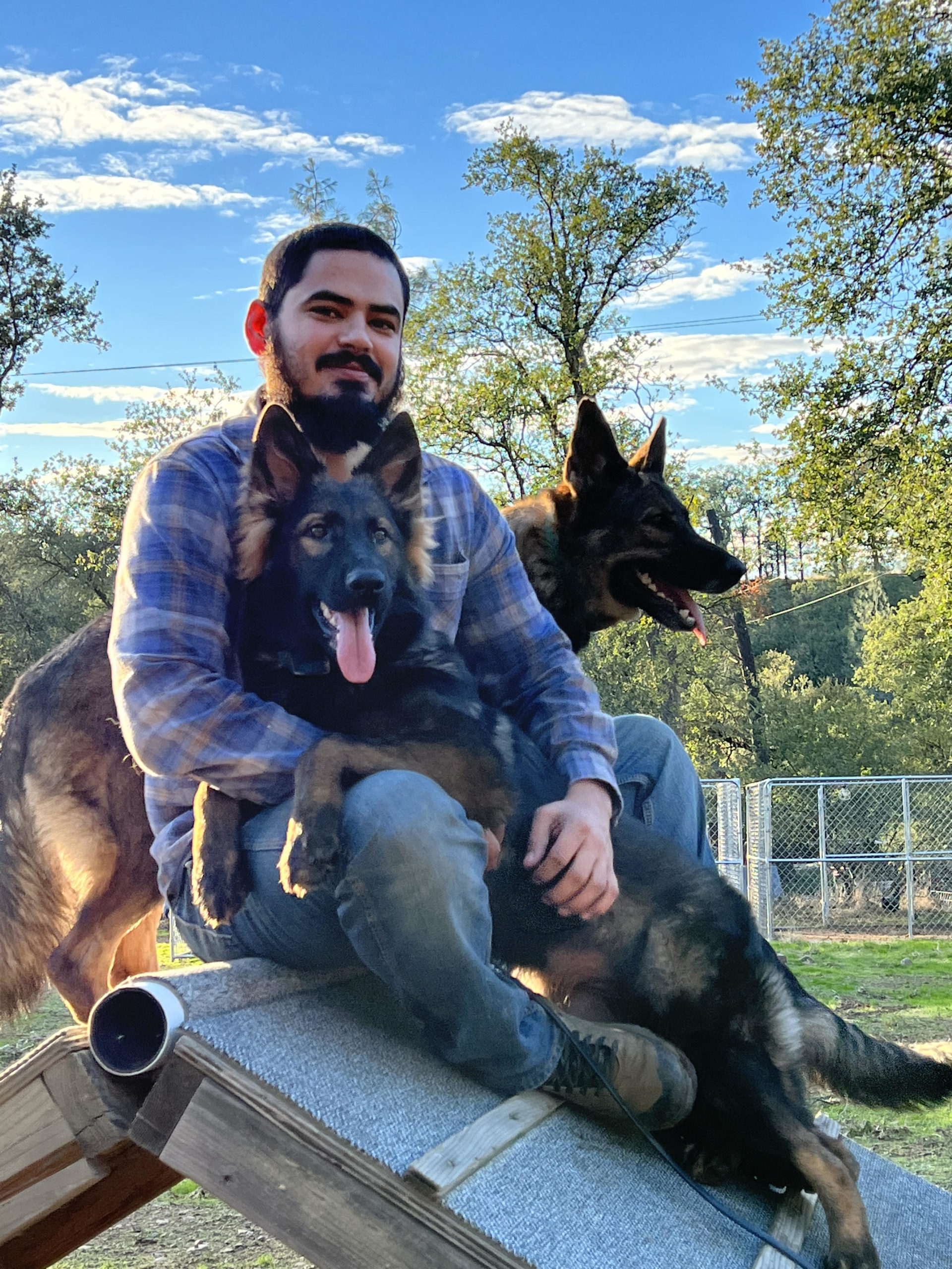 Man With Checked Shirt Sitting On Obstacle A-Frame Hugging Two Dogs