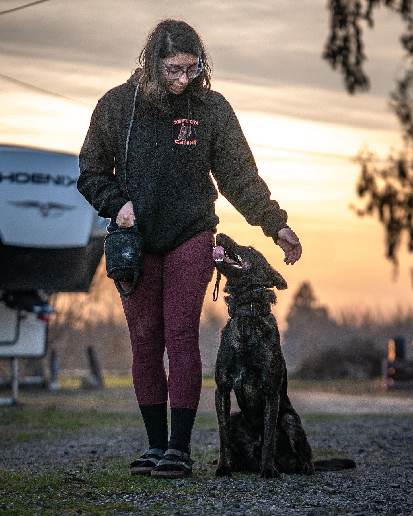 Mikayla Ehresmann-Singh, Dog Trainer at Koru K12