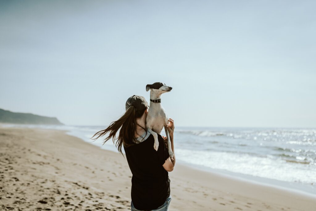 Woman With Long Brown Ponytail Walking On The Beach While Carrying Her Whippet.