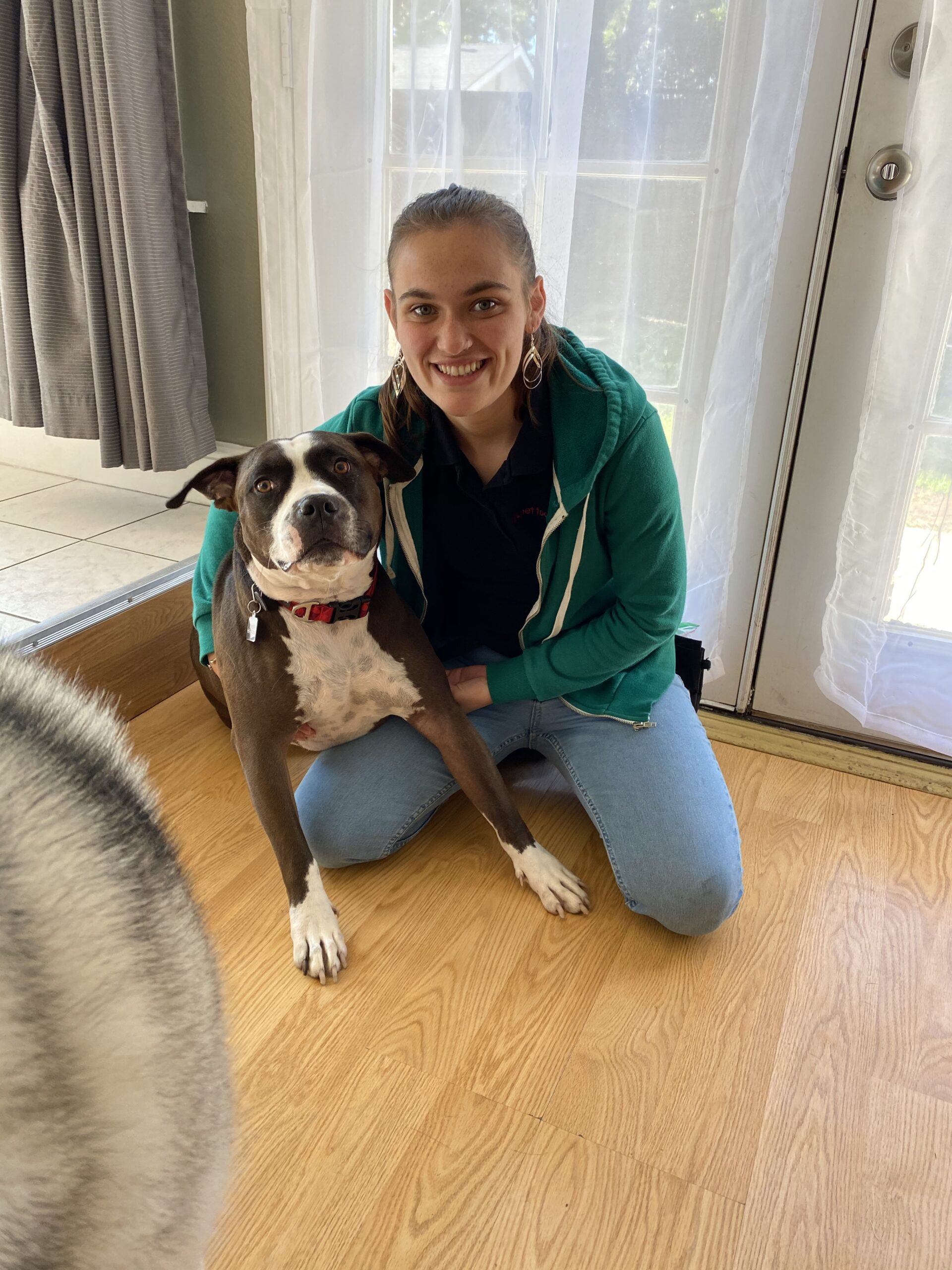 Halle Tennison, a Dog Trainer at Koru K9