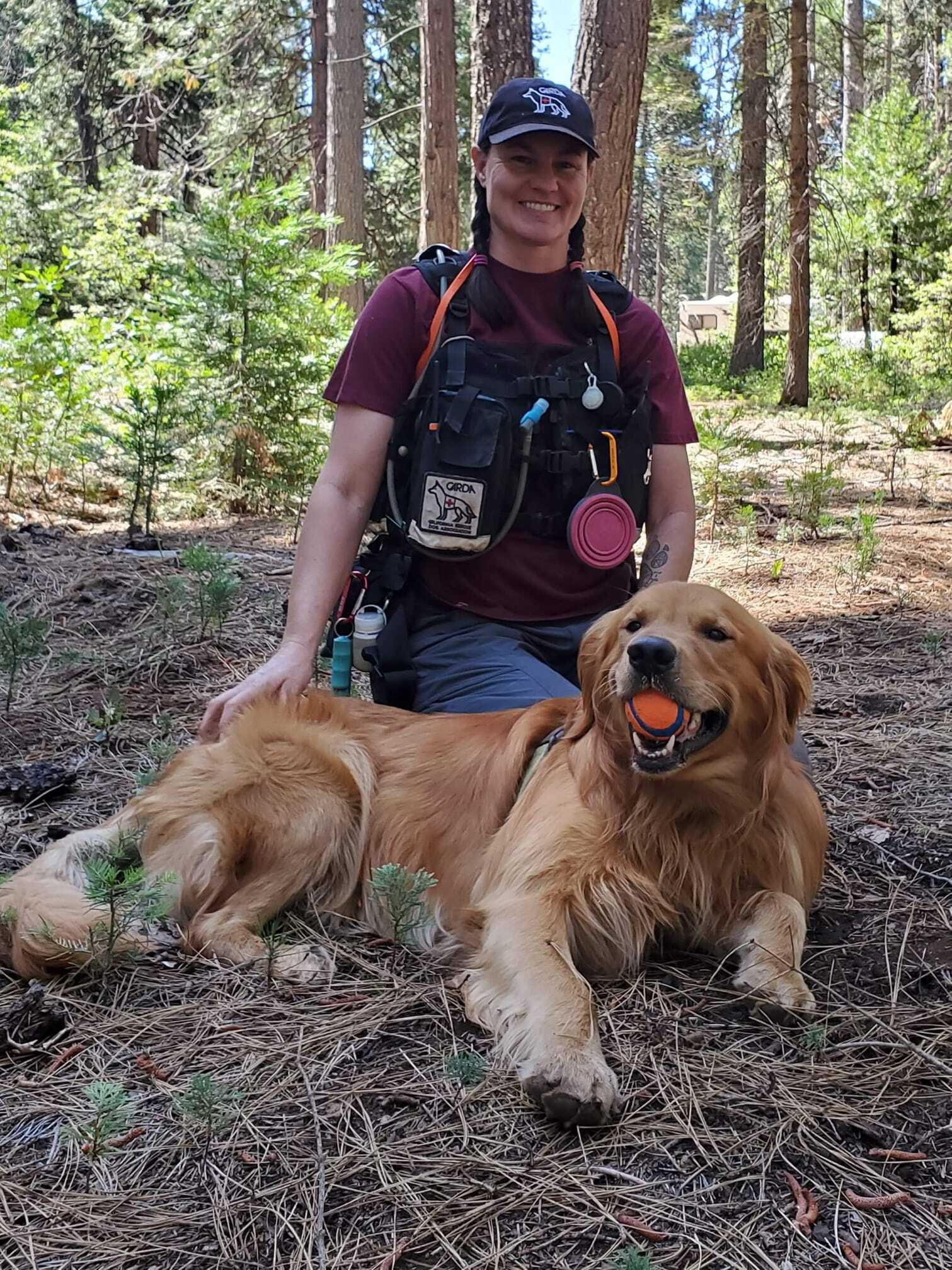 Woman Wearing Training Vest Kneeling Next To A Golden Retriever Holding An Orange Ball In His Mouth In The Woods