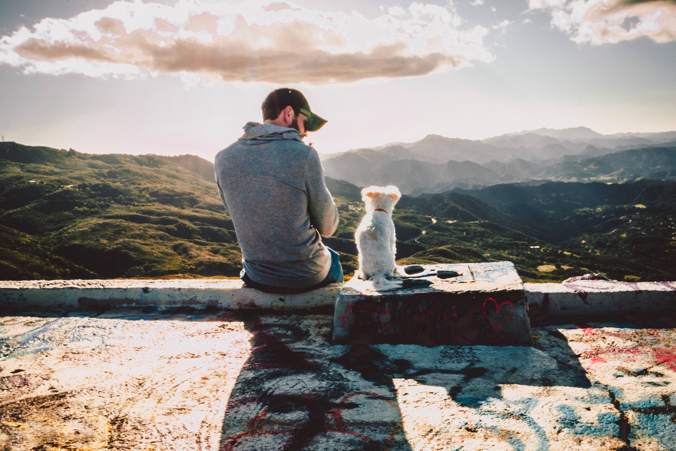 Man Sitting On Stone Ledge With Small White Dog Overlooking Sunny Green Valley
