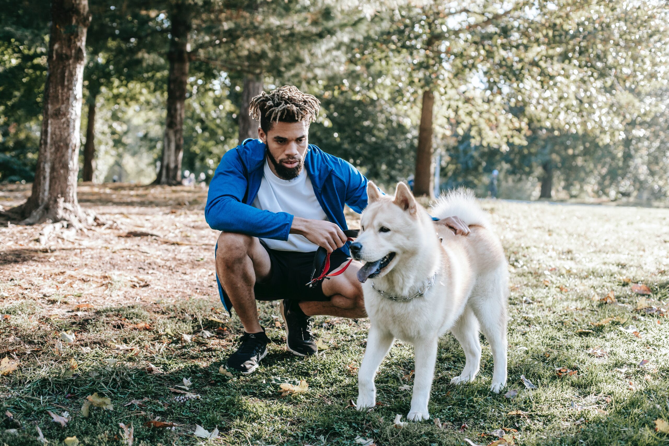 A Man Crouching Down to Pet His White Dog