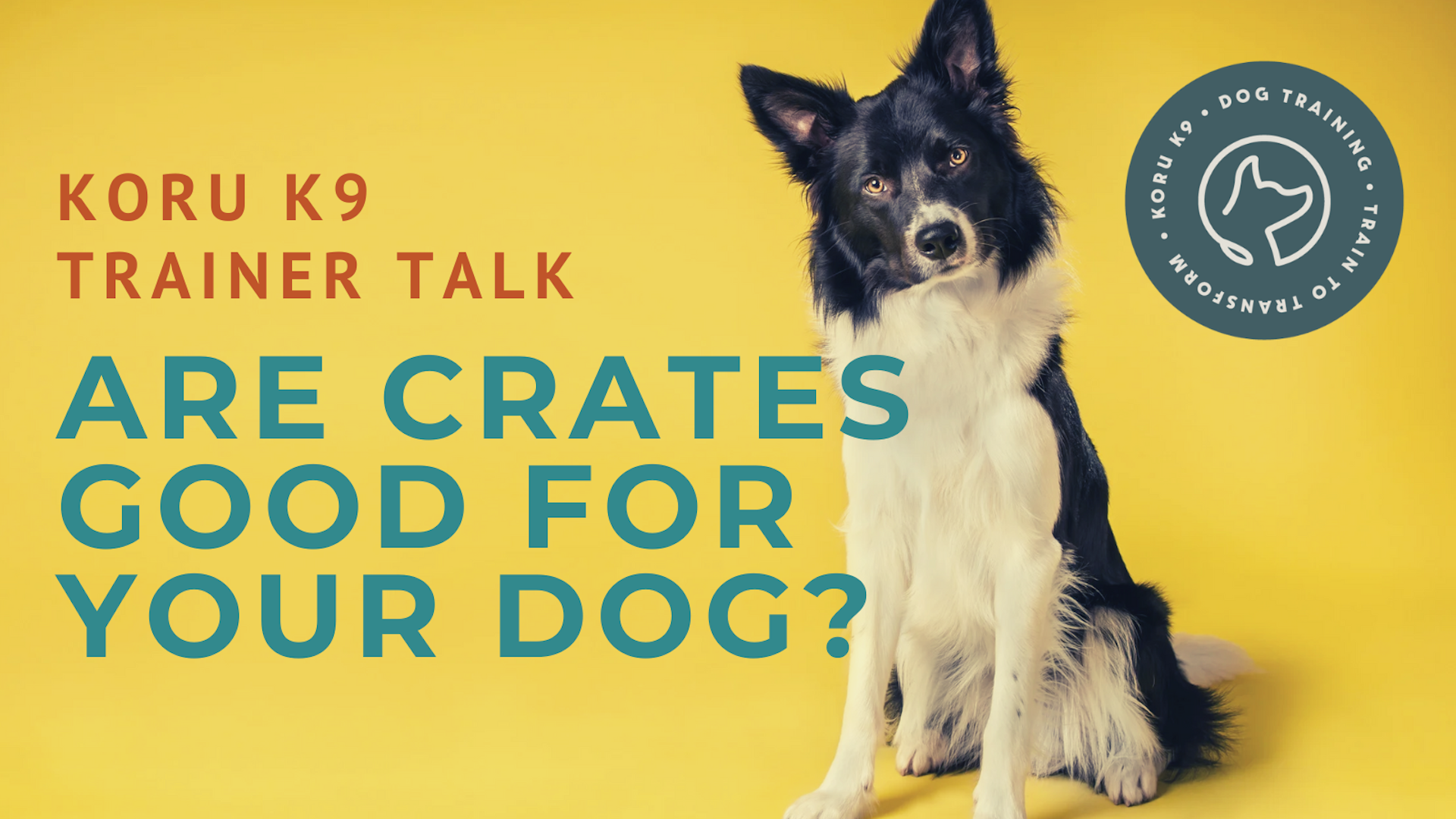 crate training for dog