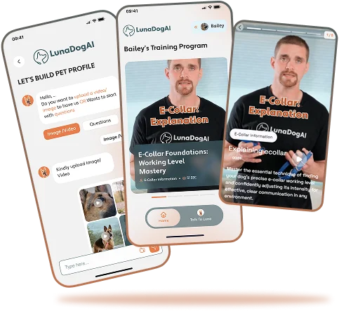 best dog training app