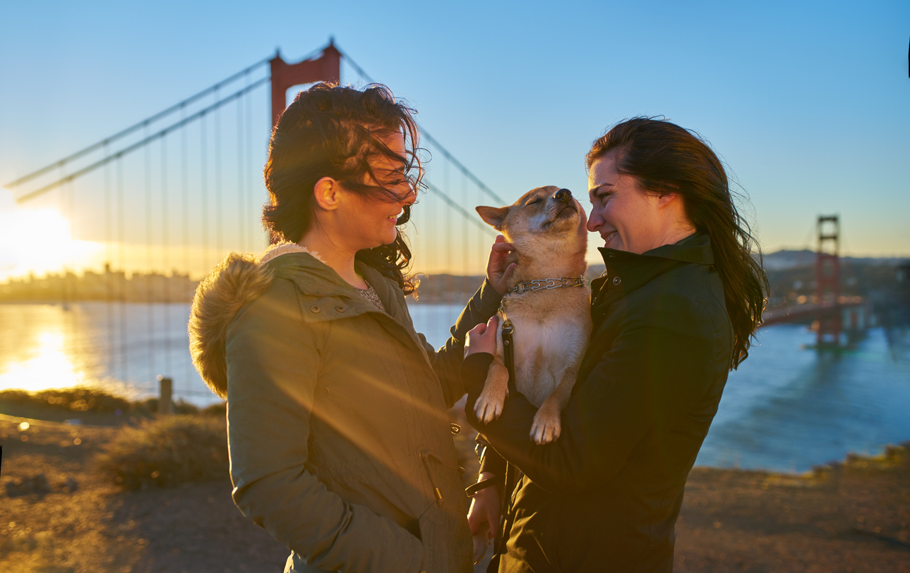 dog trainer in san francisco